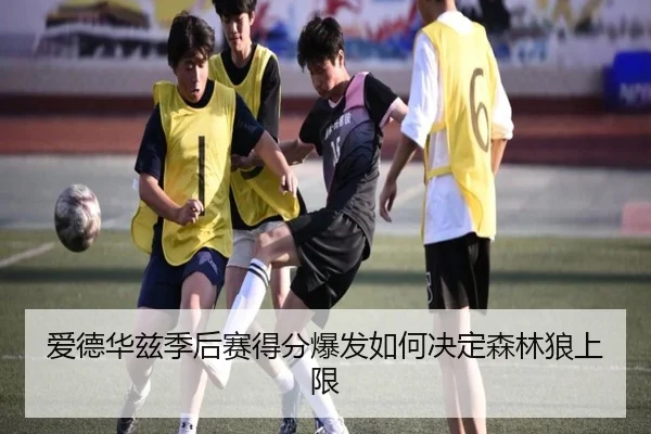 爱德华兹季后赛得分爆发如何决定森林狼上限